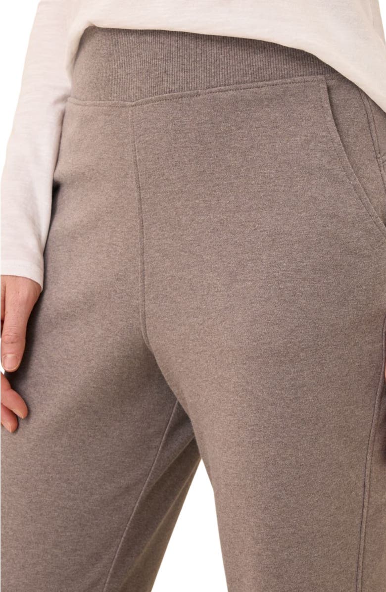 Pact Everyday Organic Cotton Airplane Joggers, Alternate, color, Deep Taupe Heather
