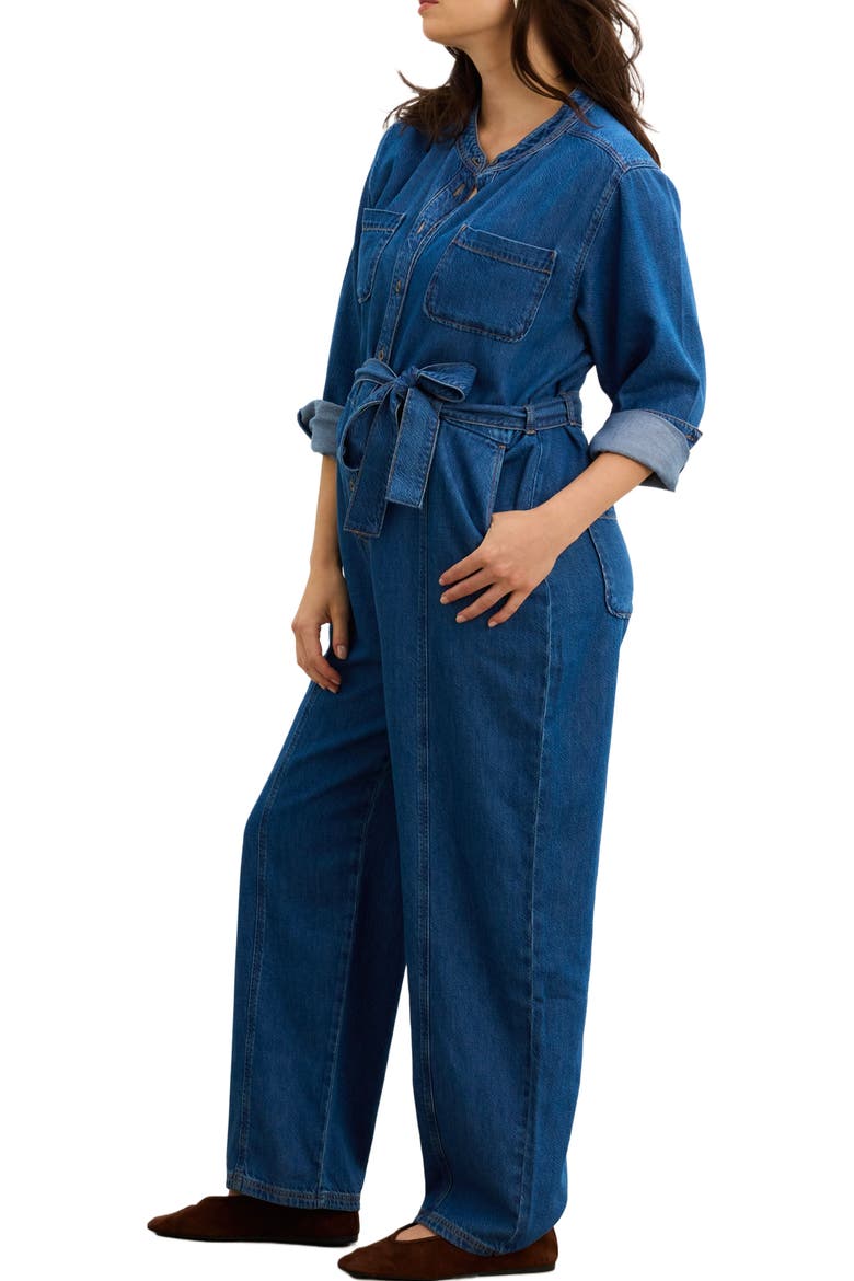 The Drapey Denim Jumpsuit, Alternate, color, True Indigo