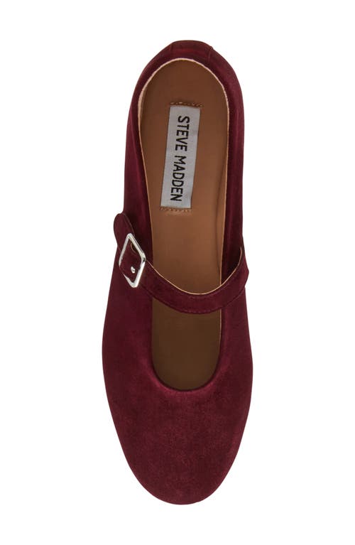 Steve Madden Women's Dreaming-s Almond Toe Flats In Burgundy Suede