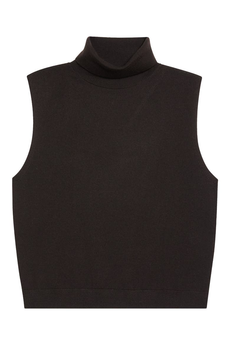 James Merino Wool Sleeveless Sweater, Main, color, CHOCOLATE