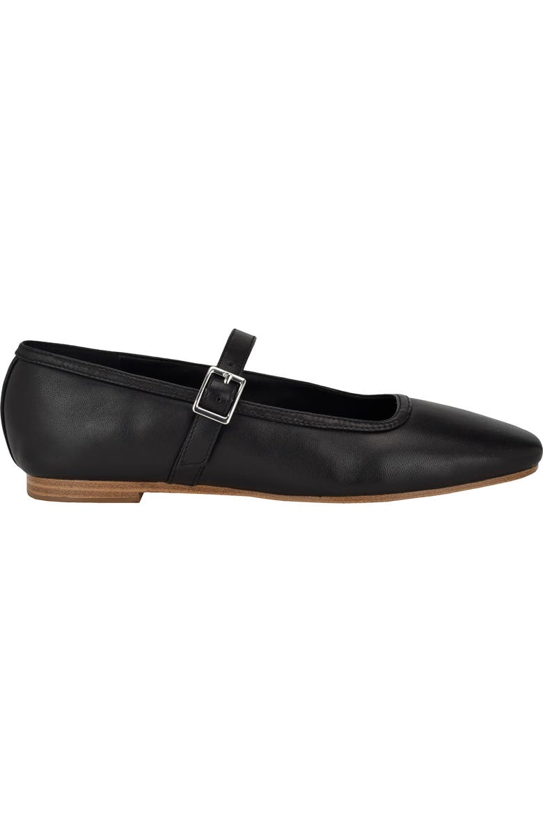 Calvin Klein Greto Mary Jane Flat, Alternate, color,