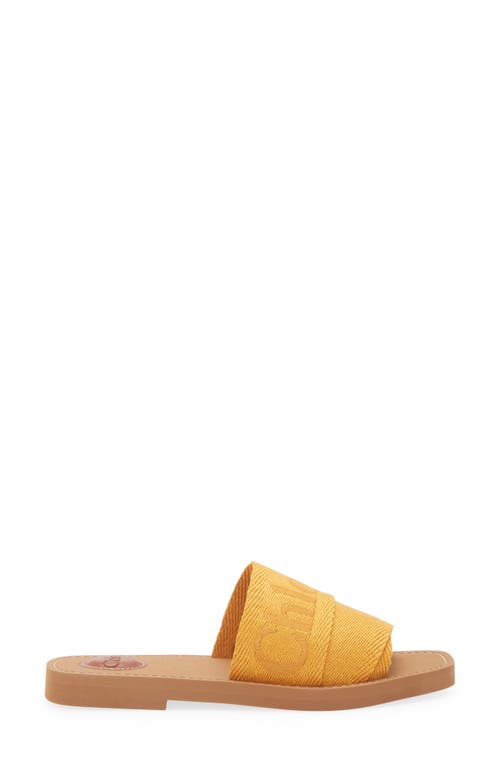 Chloé Slide Sandal In Brown