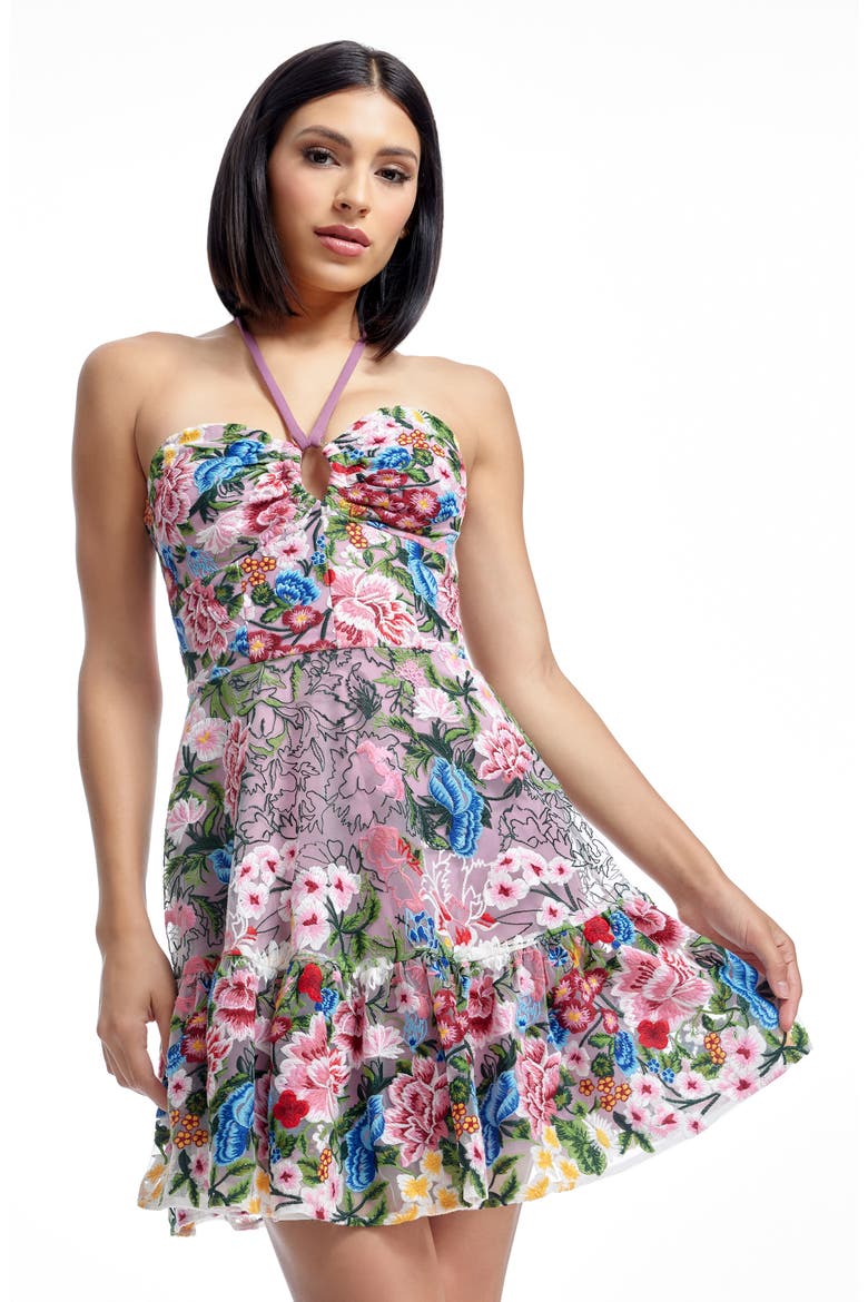Trixie Floral Embroidered Fit & Flare Minidress, Alternate, color, BLUSH MULTI