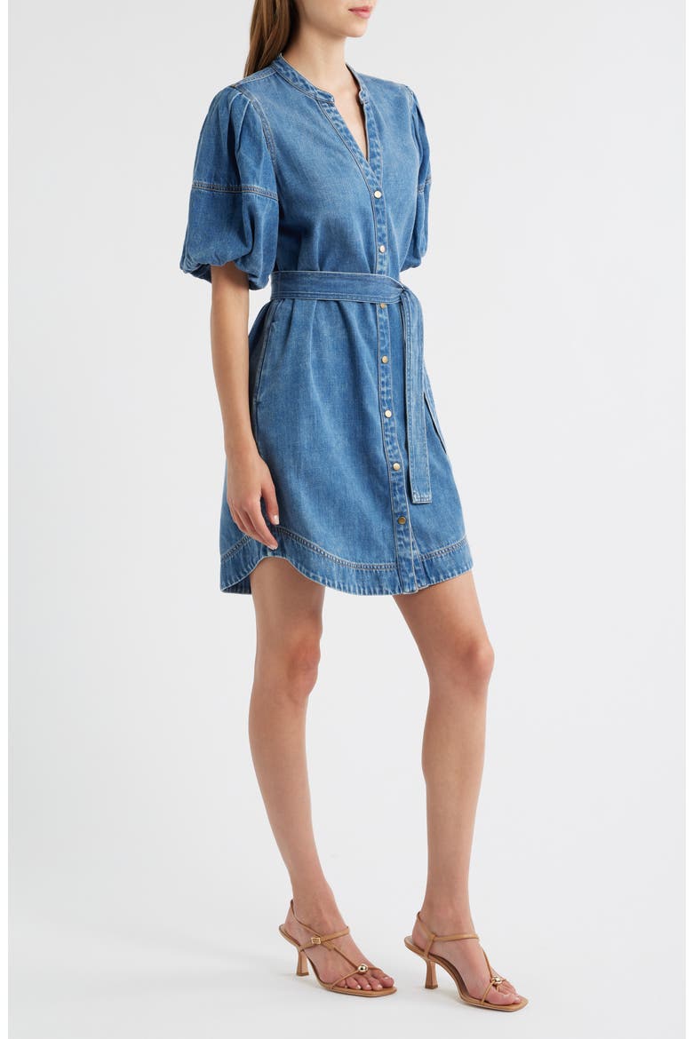 Kingsley Denim Snap-Up Dress, Alternate, color, ANTIQUE BLUE