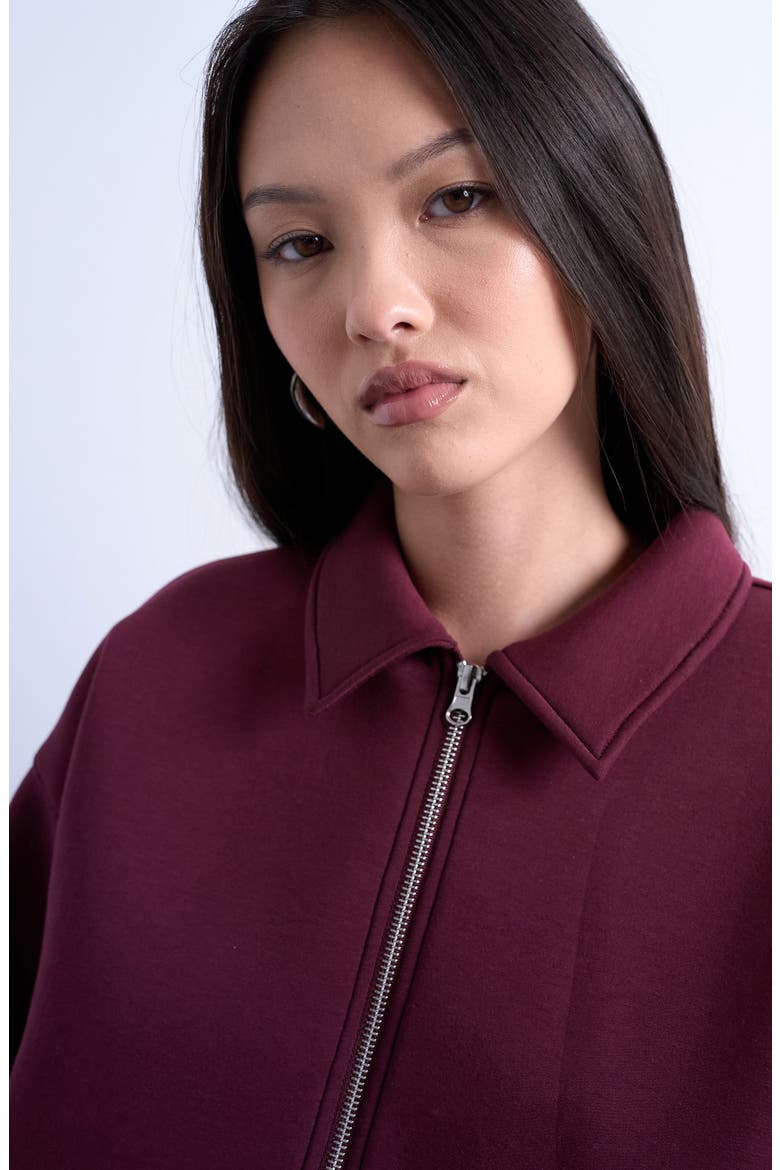 Oversize Zip-Up Jacket, Alternate, color, BURGUNDY