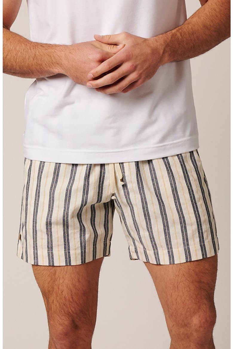 Catalina Shorts, Main, color, Blue Stripes