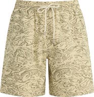 Joe's Loose Fit Print Shorts