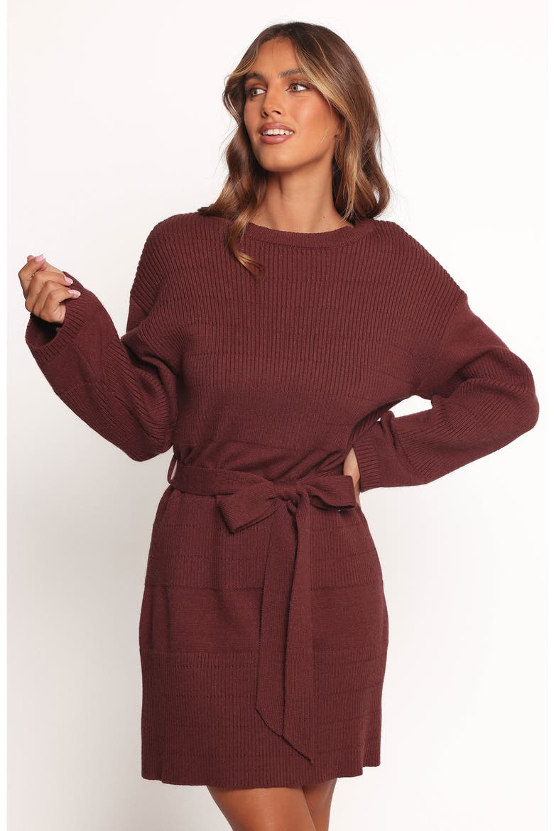 Lucca Long Sleeve Mini Sweater Dress, Alternate, color, CHOCOLATE BROWN