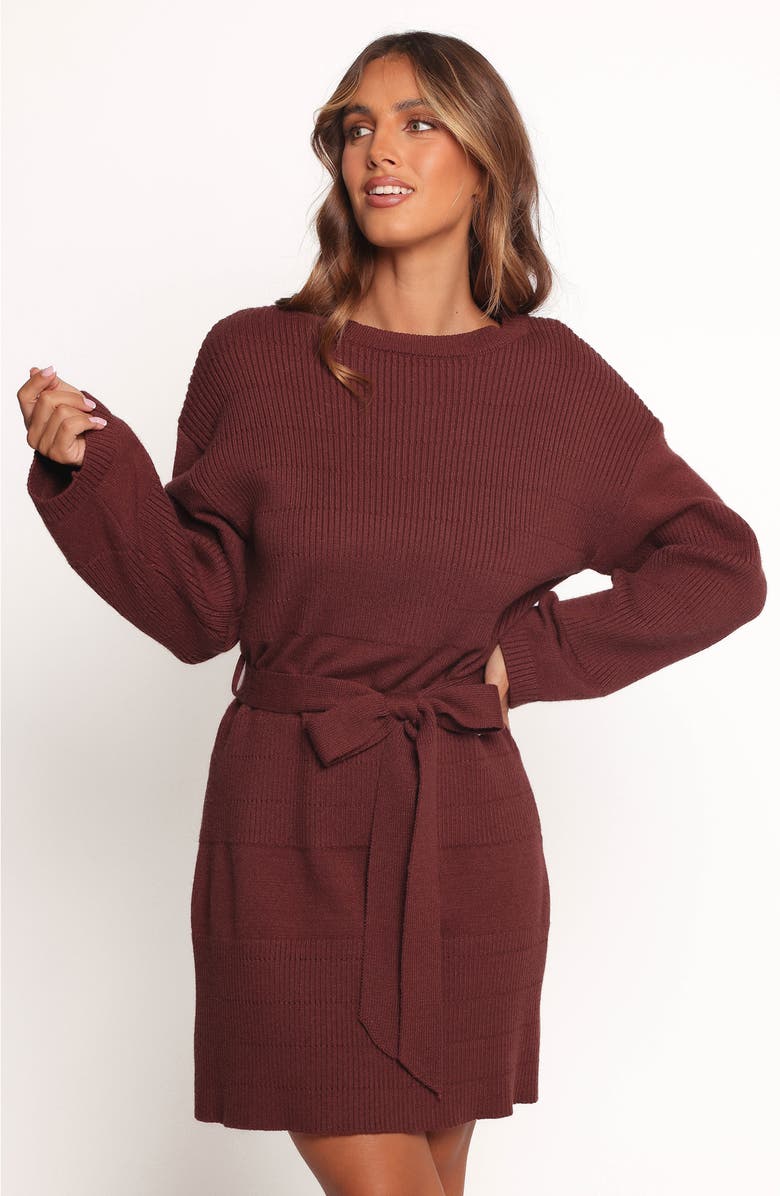 Petal & Pup Lucca Long Sleeve Mini Sweater Dress, Alternate, color, Chocolate Brown