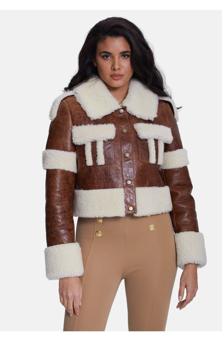 Furniq UK Veronica Sheepskin Jacket, Alternate, color, Brown