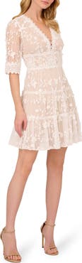 Adrianna Papell Embroidered Lace Minidress