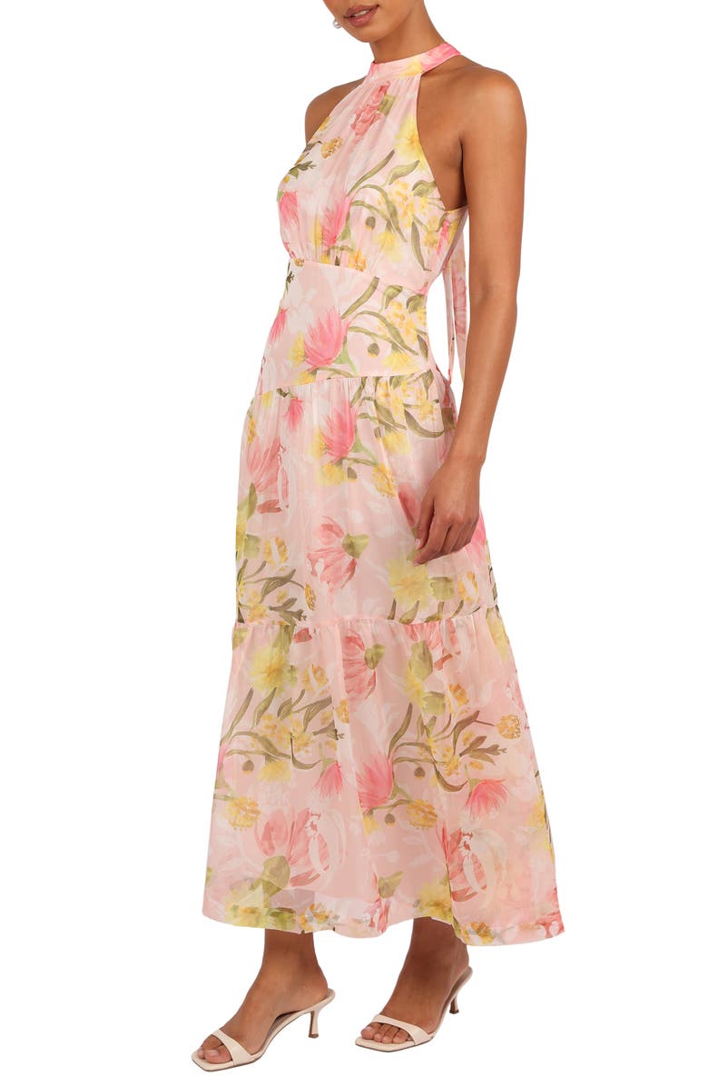 Petal & Pup Eden Floral Halter Maxi Dress, Alternate, color, Acacia Blossom