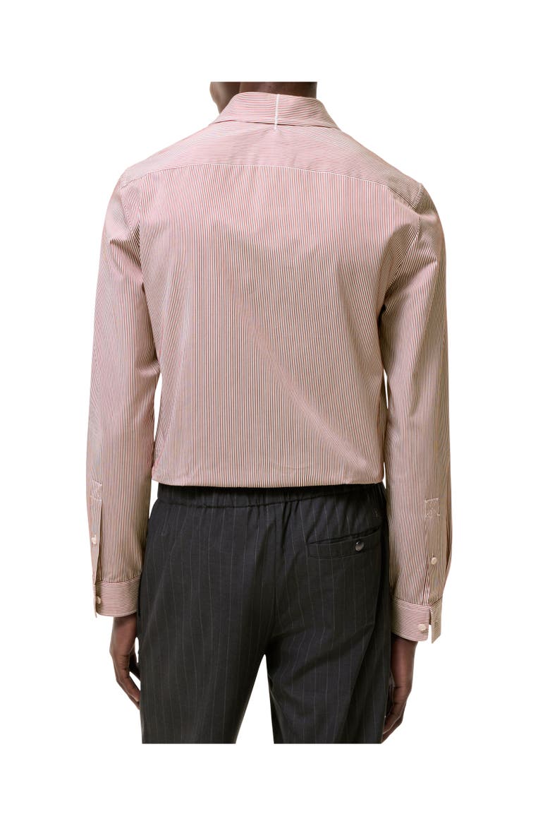 Slim Fit Striped Cotton Shirt, Alternate, color, Vineyard red
