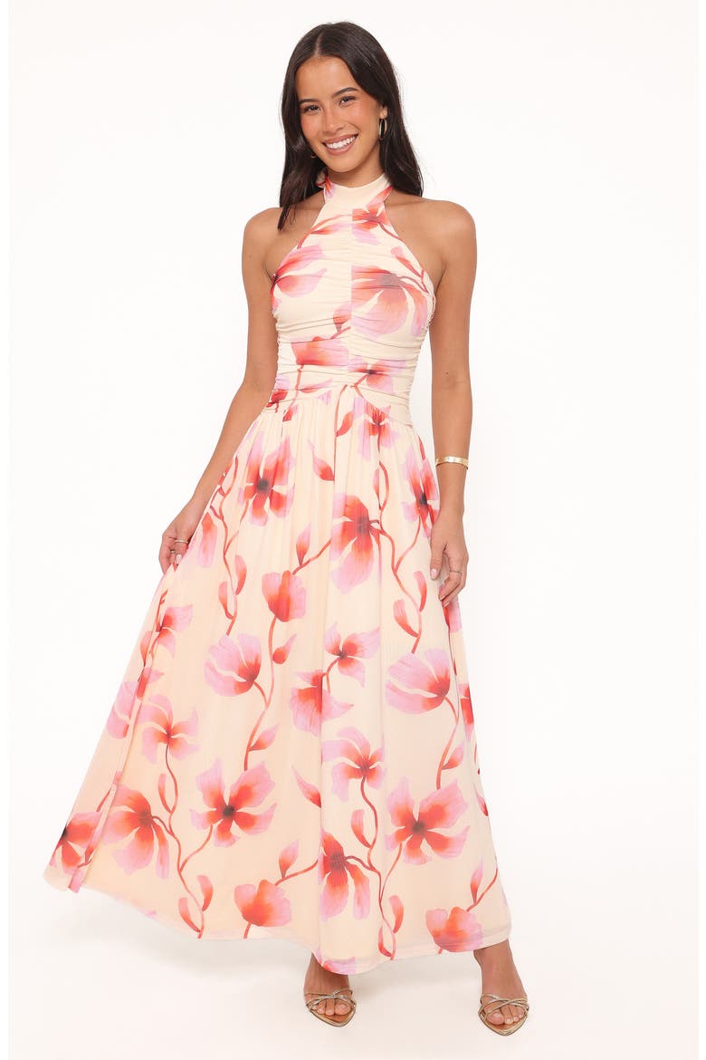 Kaira Halter Neck Maxi Dress, Alternate, color, PINK FLORAL