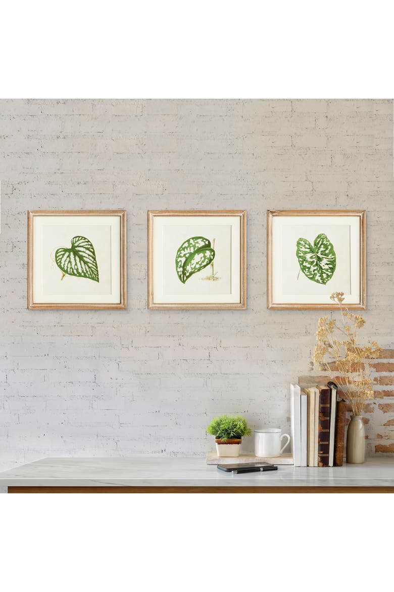 Leaf Cuttings Petite Prints Set of 3, Alternate, color, Green