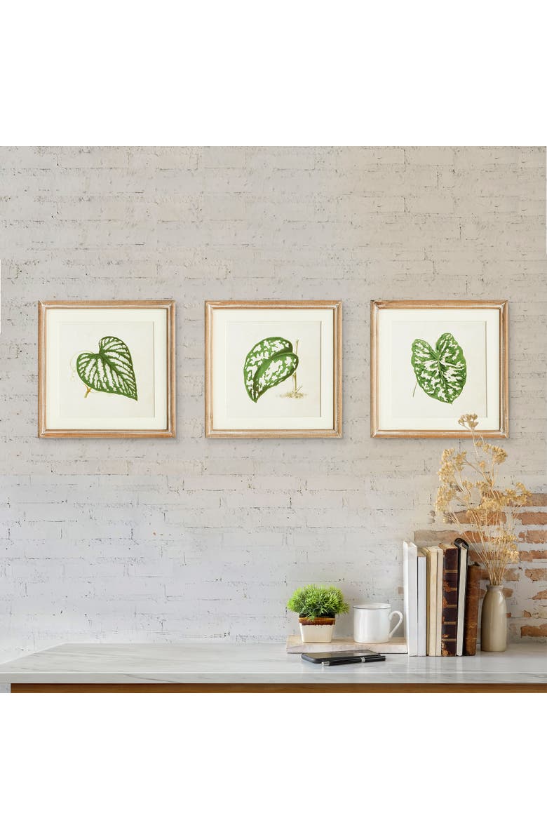 Napa Home & Garden Leaf Cuttings Petite Prints Set of 3, Alternate, color, Green