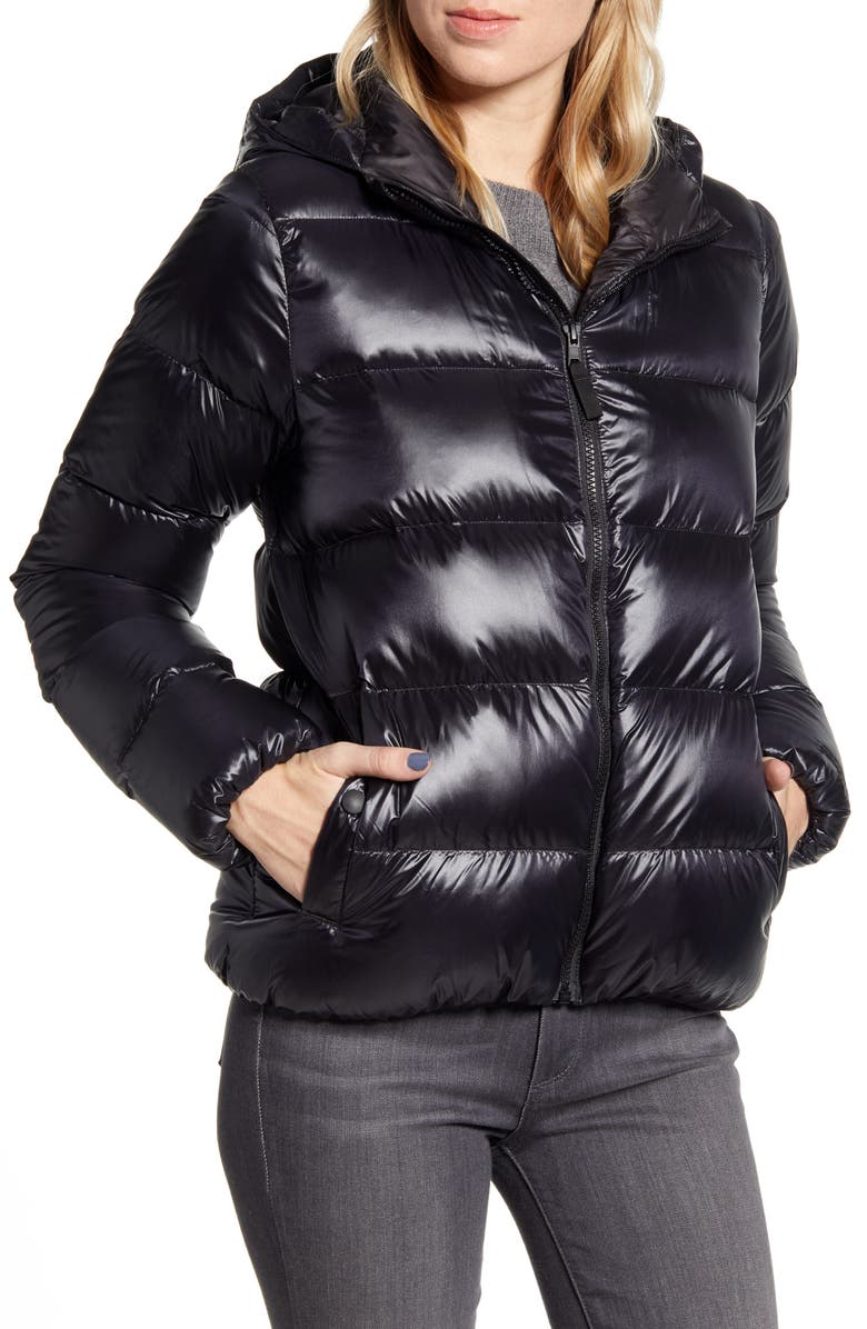 Patagonia Raven Rocks Durable Water Repellent Hooded Down Jacket, Alternate, color, 