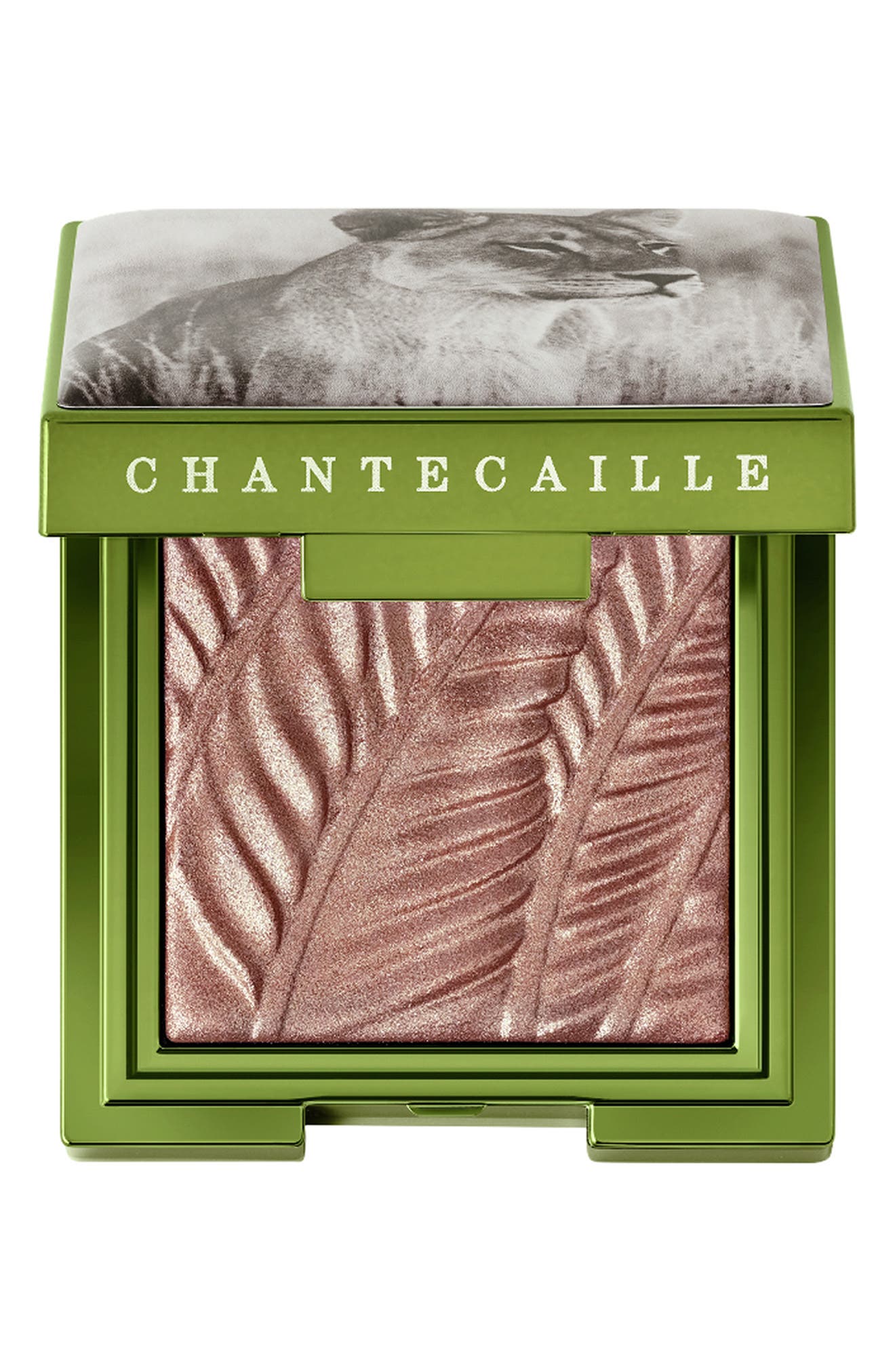 Chantecaille Luminescent Eye Shade (Women) | Nordstrom