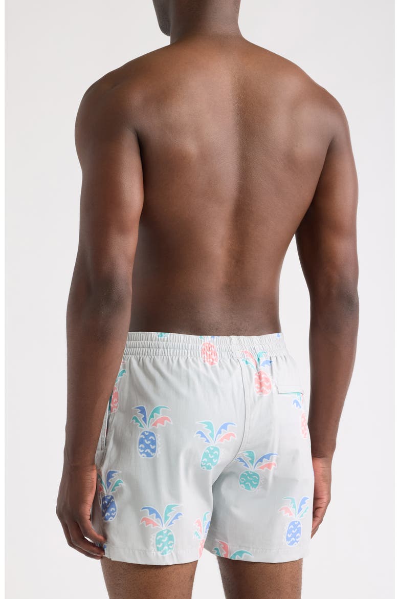 Prickle Down Economics Swim Trunks, Alternate, color, LIGHT/ PASTEL GREY