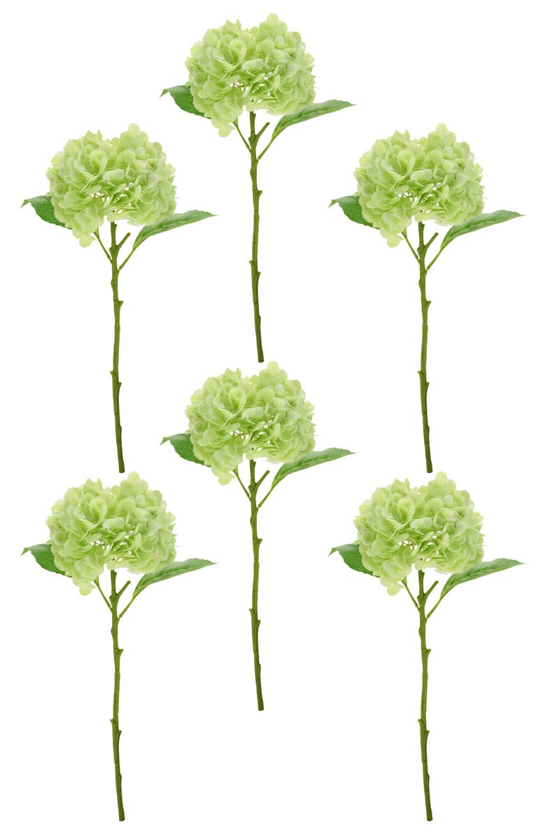Mark Roberts Vibrant Hydrangea Natural Touch, Box of 6, Alternate, color, Light Green