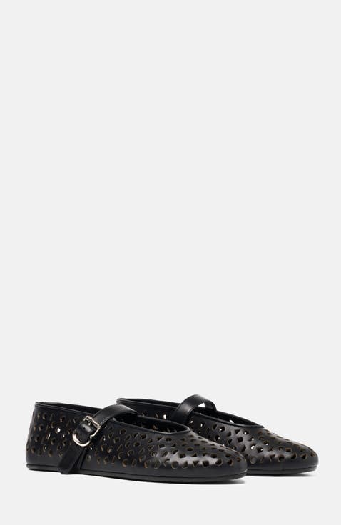 Evelyn Ballerinas