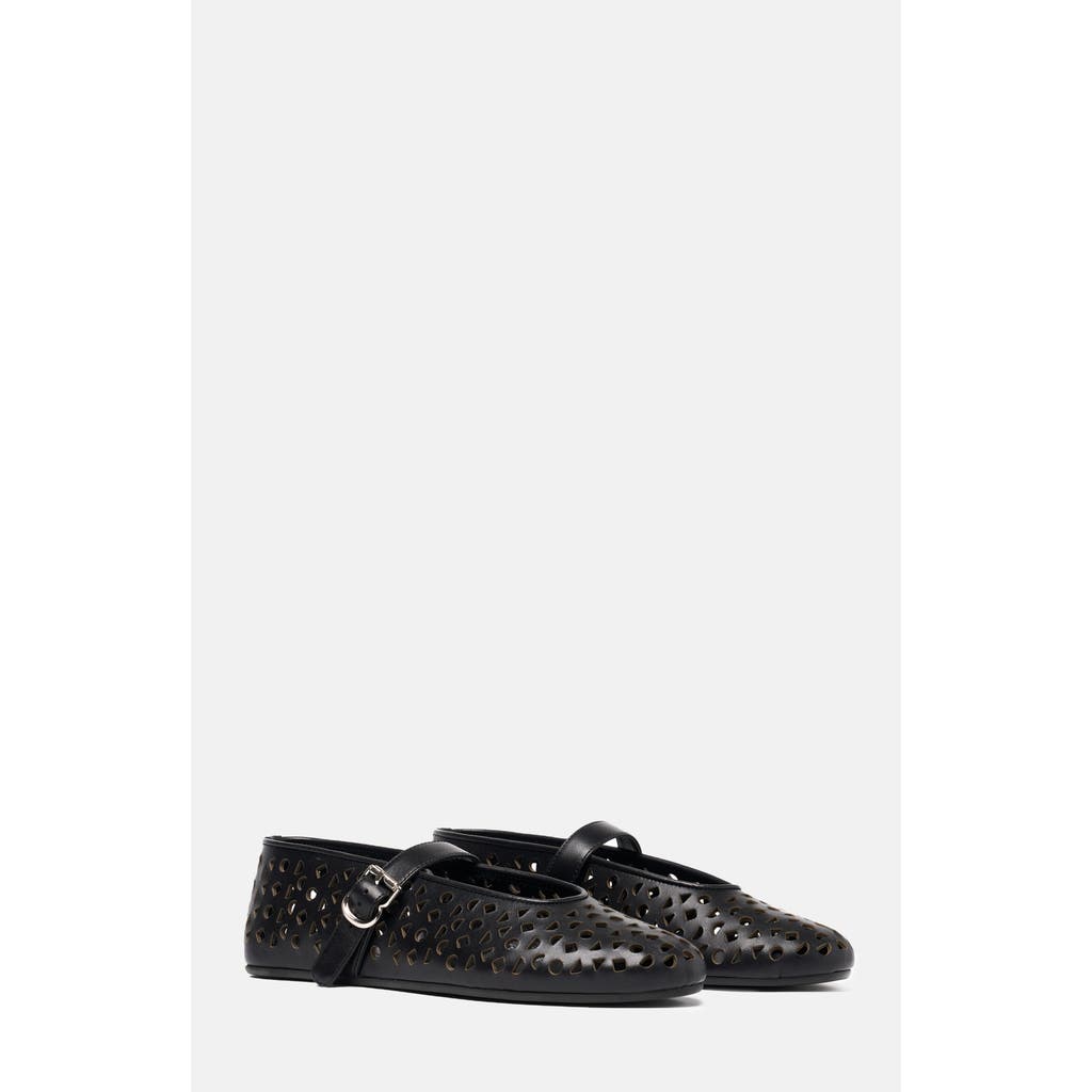 SCAROSSO Evelyn Ballerinas in Black - Calf at Nordstrom, Size 36