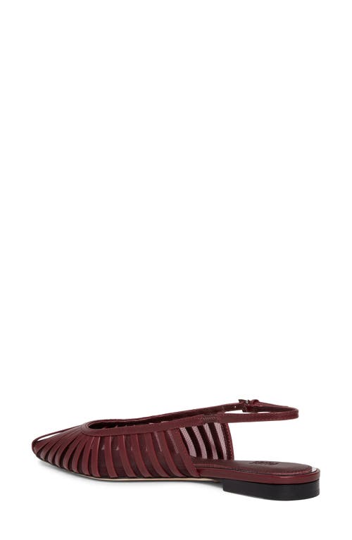 Paige Tera Pointed Toe Slingback Flat In Brown