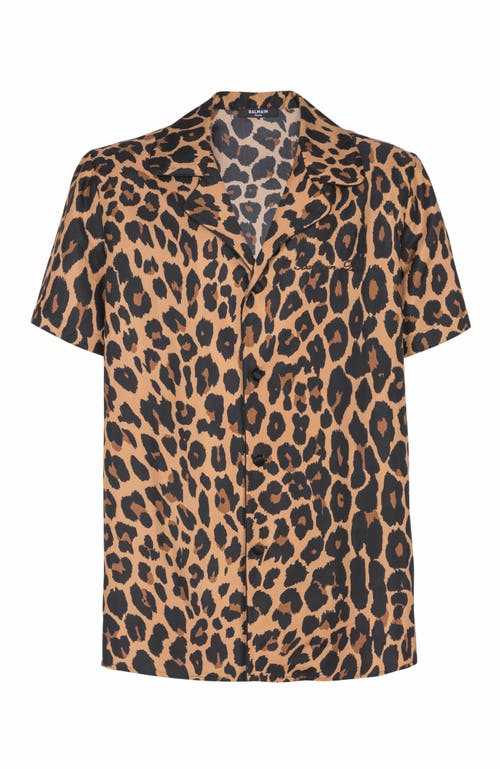 Balmain Animal Print Chest Pocket Shirt In Brown