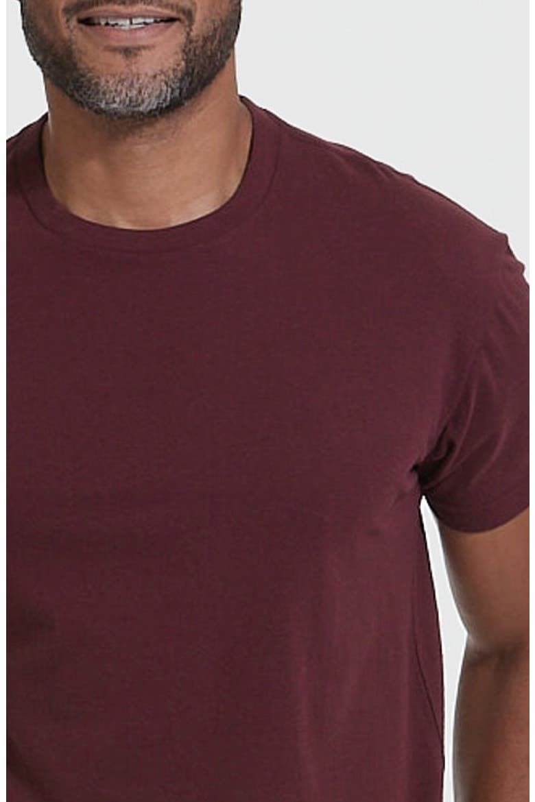 Classic Crewneck T-Shirt, Alternate, color, MAHOGANY