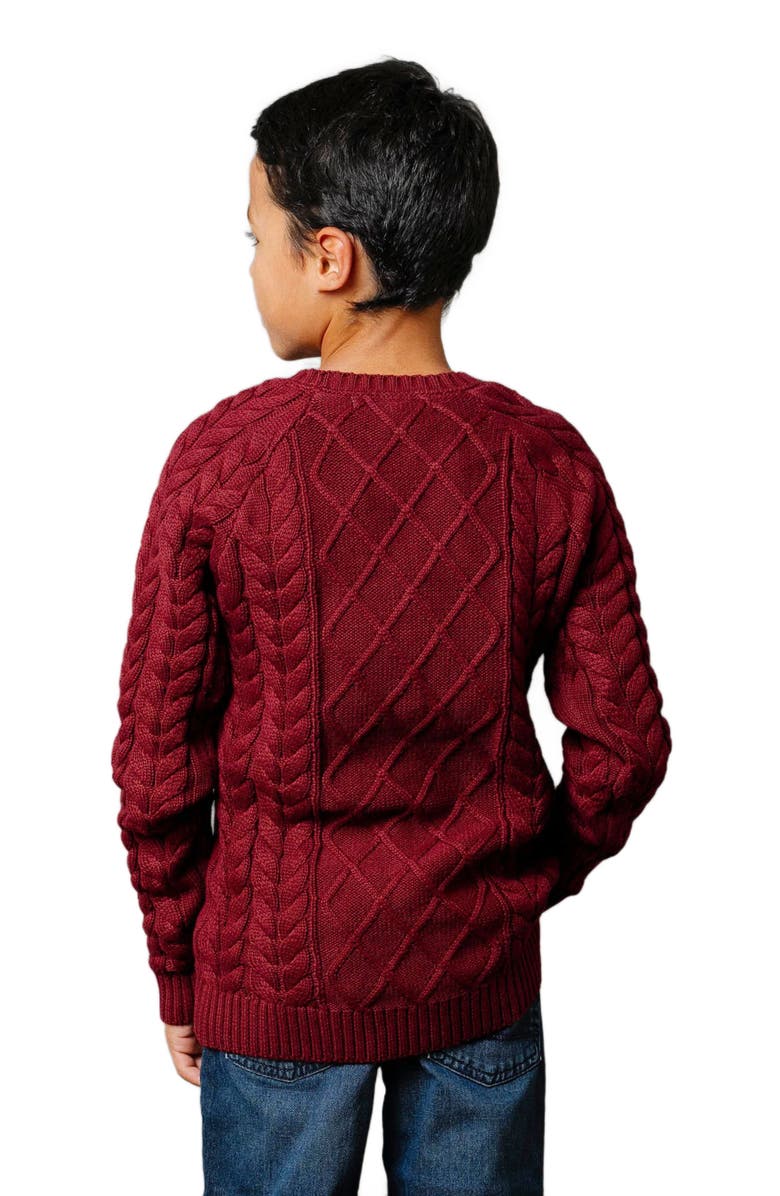 Hope & Henry Boys' Organic Raglan Fisherman Sweater, Kids, Alternate, color, 