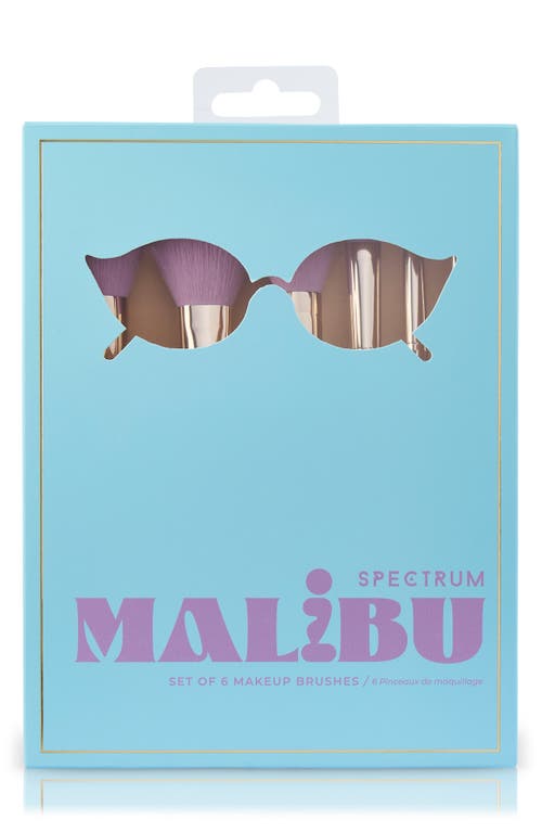 Shop Spectrum Malibu 6-piece Makeup Brush Set