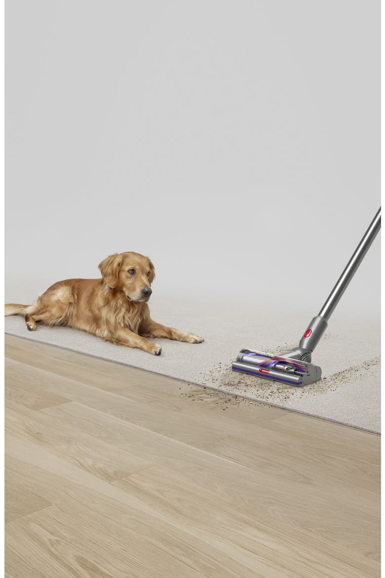 V15 Detect Cordless Vacuum, Alternate, color, GREY TONES