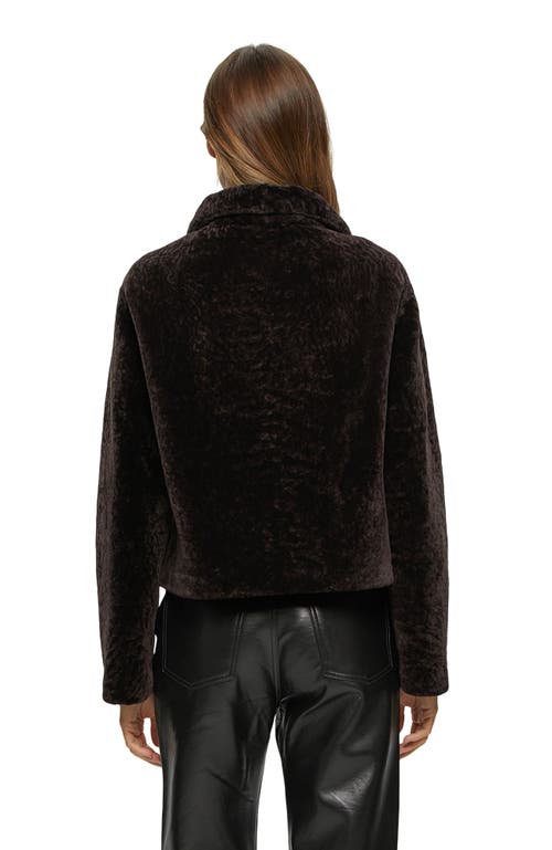 Gorski Textured Shearling Lamb Short Jacket In Brown