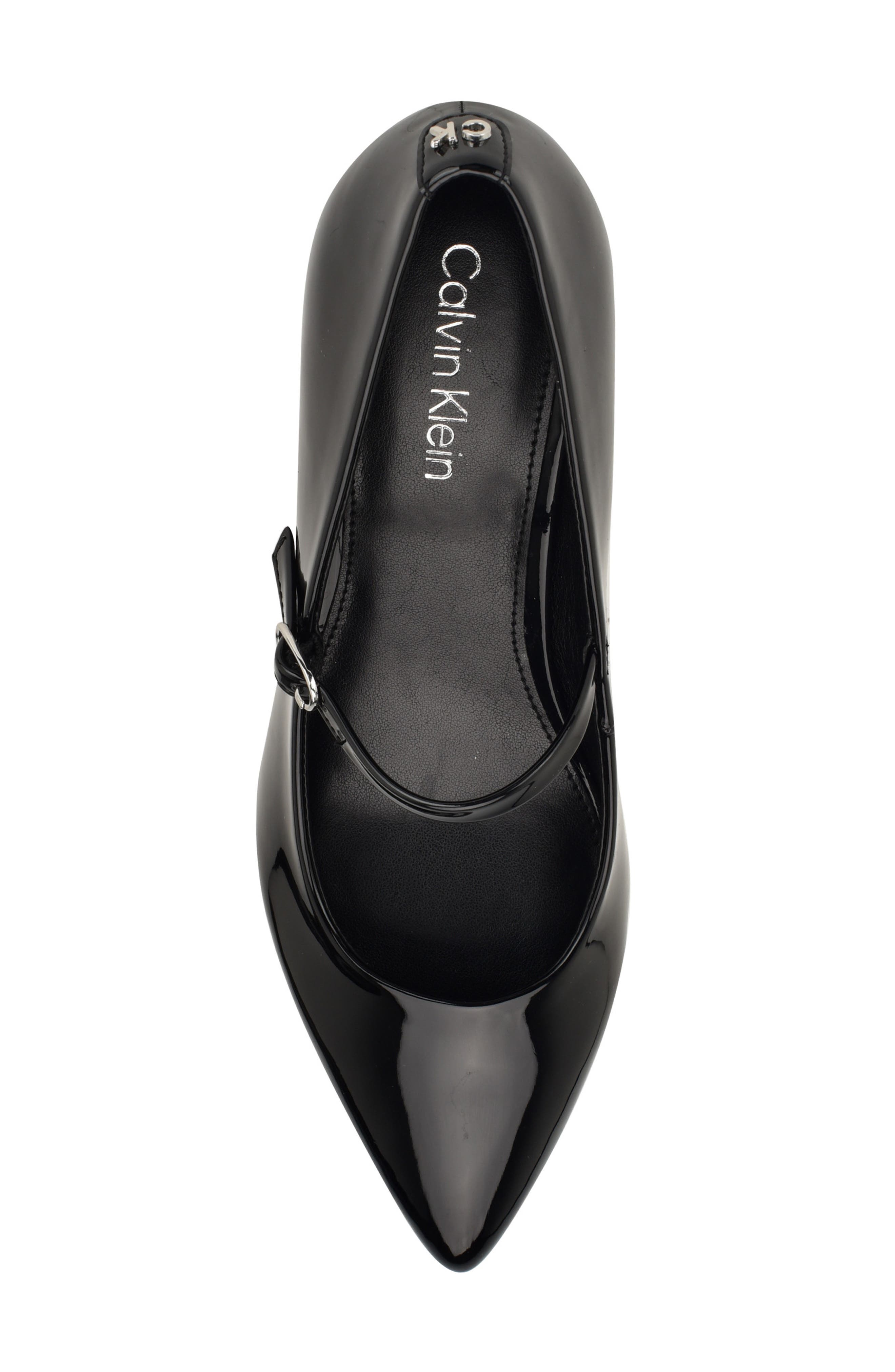 Calvin Klein Leora Pointed Toe Mary Jane Pump, Alternate, color, 