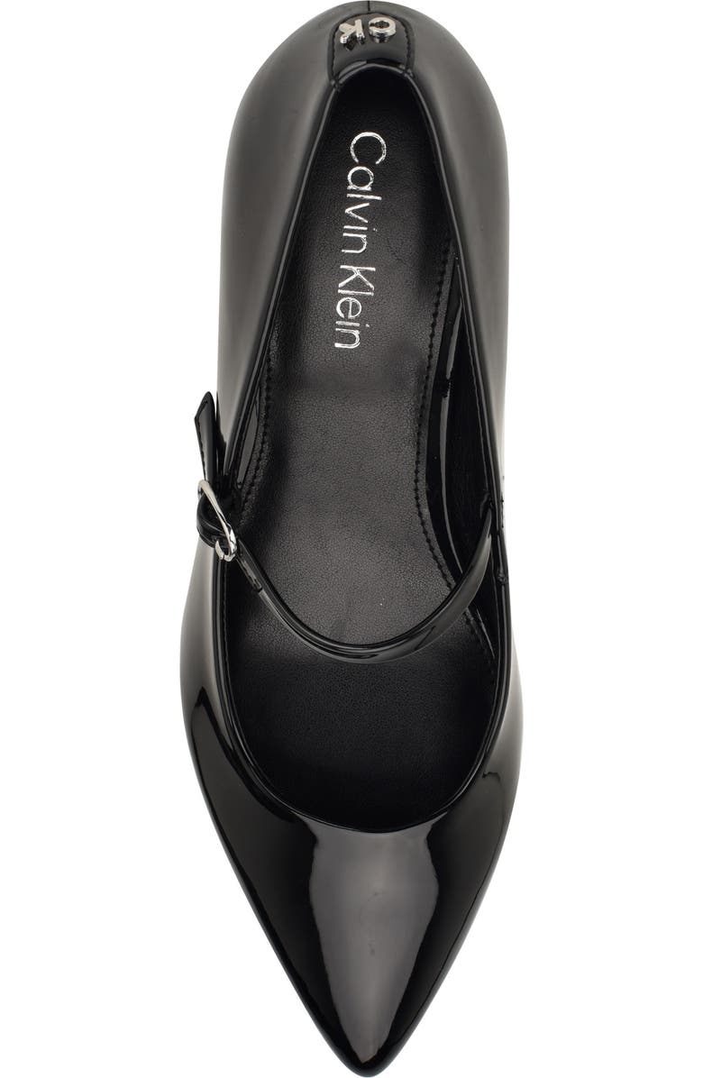 Calvin Klein Leora Pointed Toe Mary Jane Pump, Alternate, color,