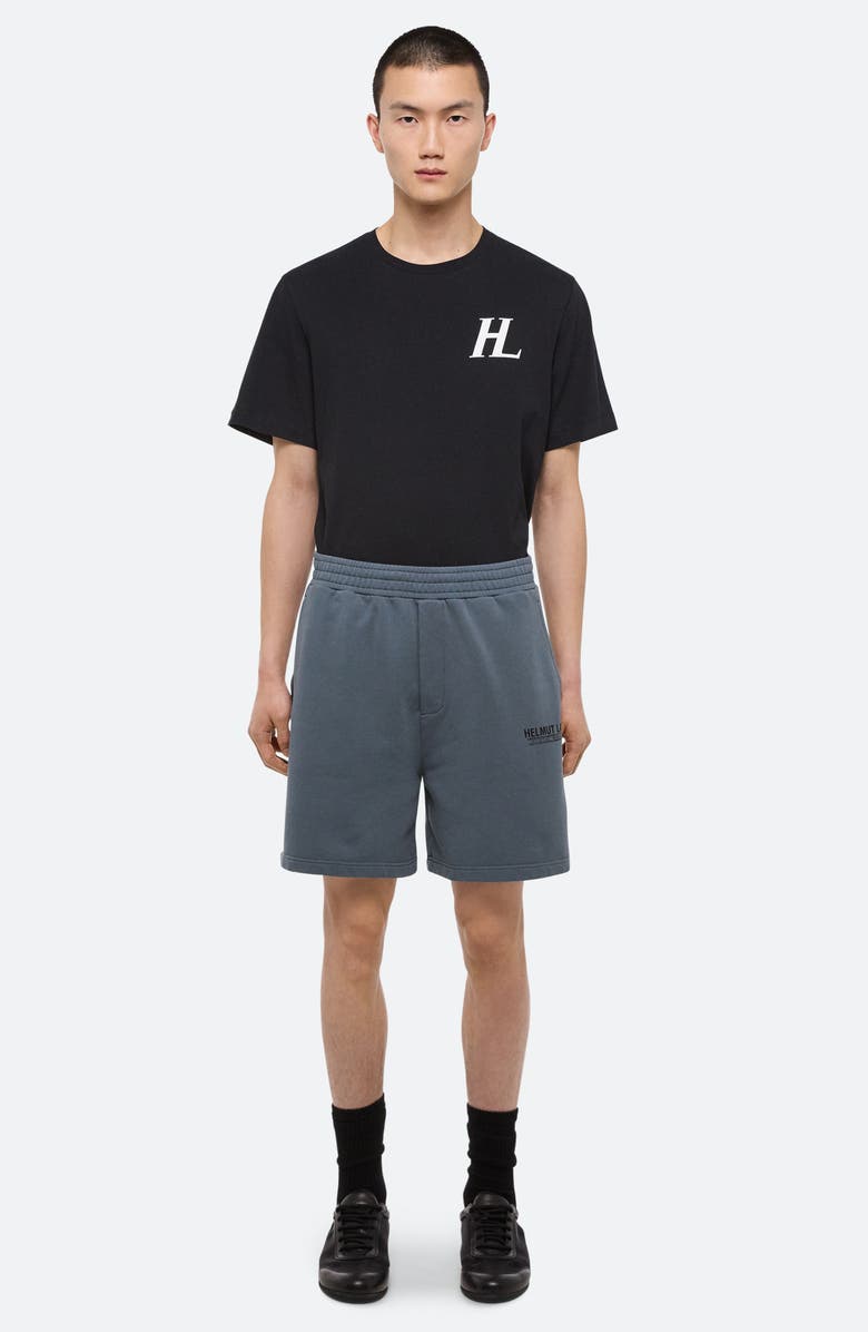 Helmut Lang Capsule Shorts, Alternate, color, Slate Blue