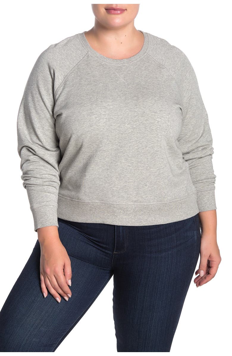 Madewell Crew Neck Raglan Sleeve Sweatshirt, Alternate, color, 