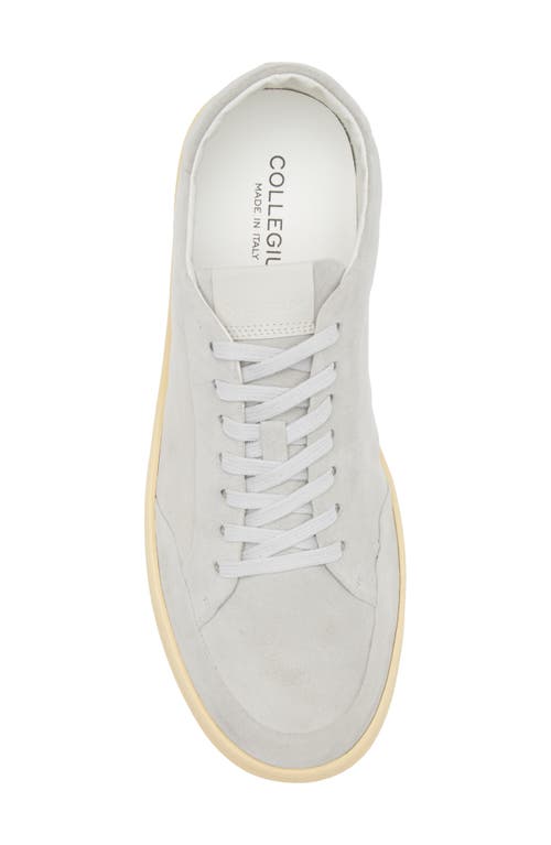 Collegium Pillar Court Sneaker In Gray