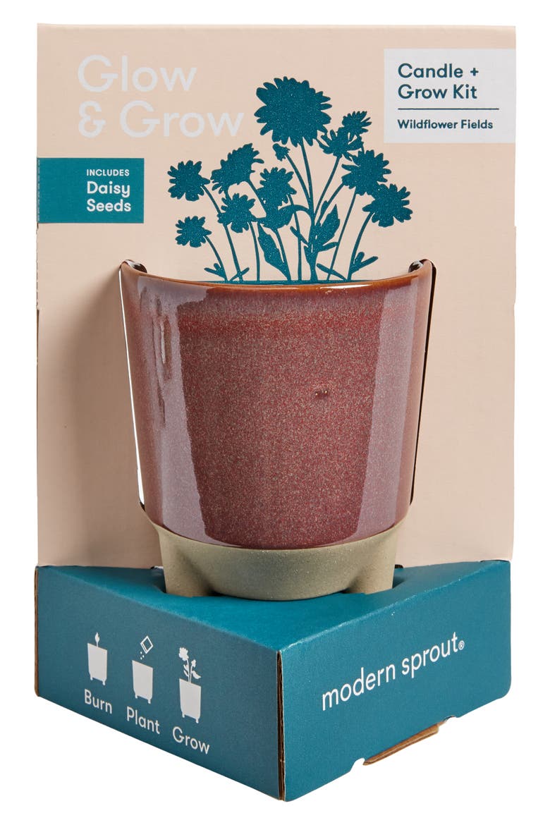 Glow & Grow Kit, Main, color, BURGUNDY