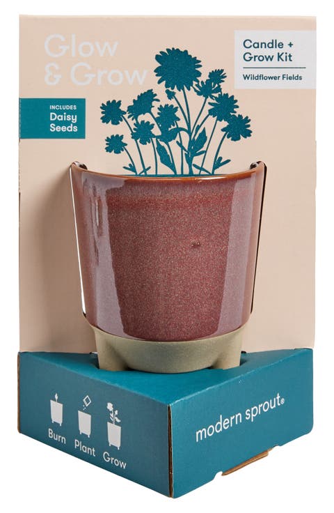 Glow & Grow Kit