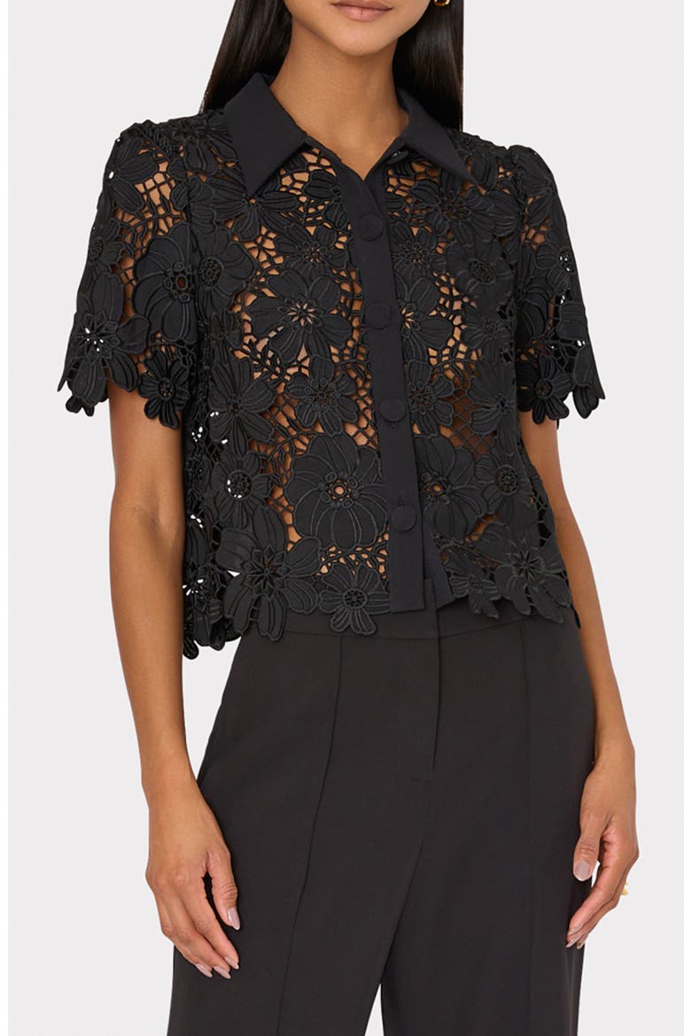 Addison Lace Crop Shirt, Main, color, BLACK