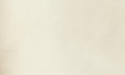 Closed Cotton Crop Button-up Shirt In Brown