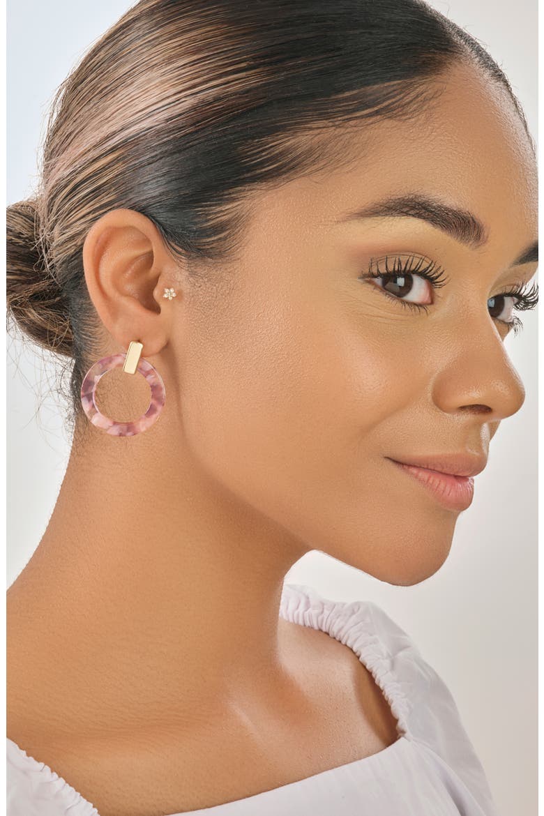 Raspberry Resin Circle Drop Earrings, Alternate, color, RED