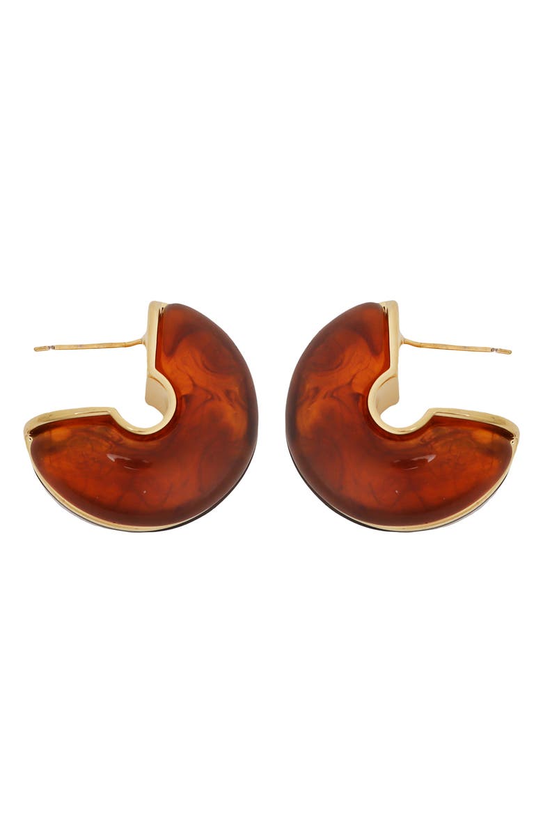 Panacea Brown Acrylic Hoop Earrings, Main, color, Brown