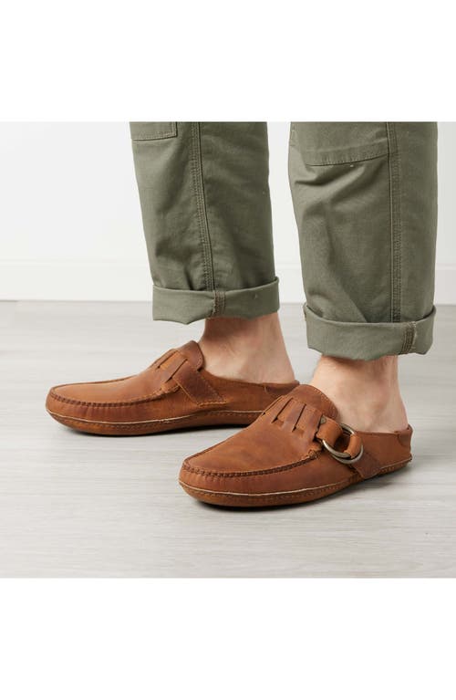Quoddy Ring Mule In Brown