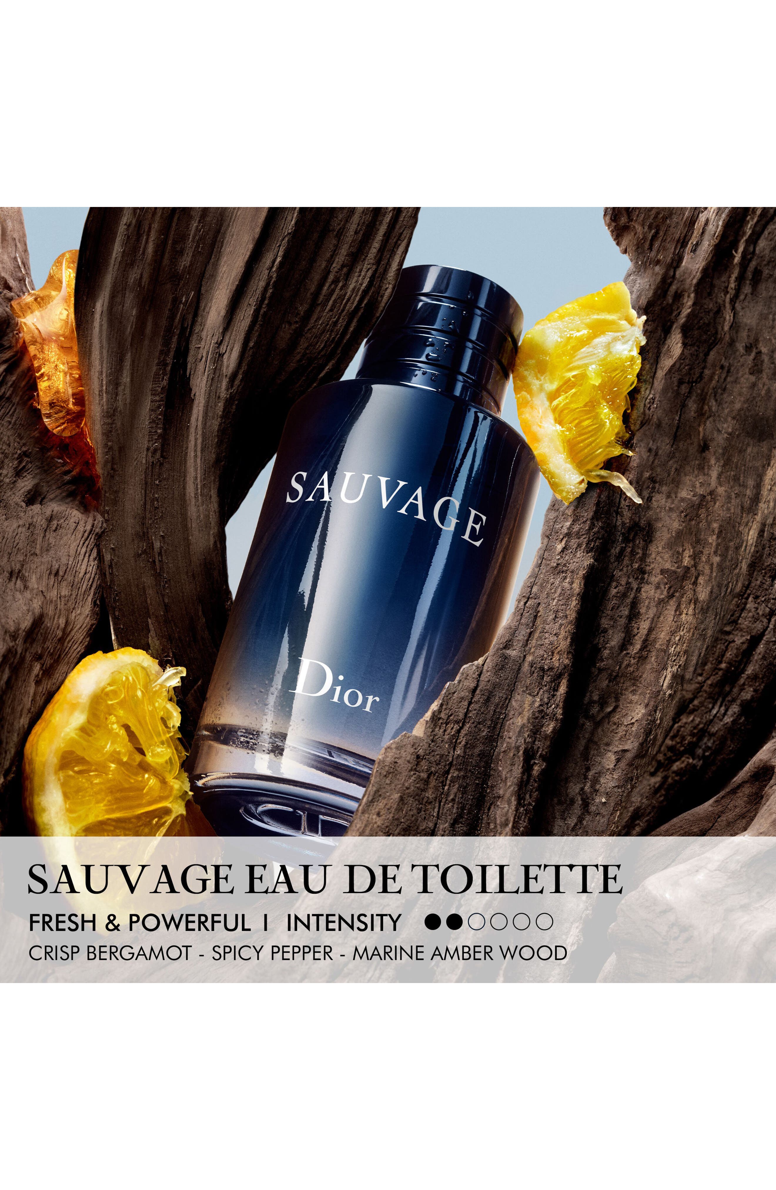 DIOR Sauvage Eau de Toilette (Men) | Nordstrom