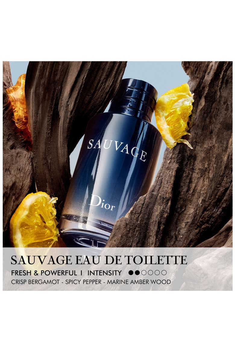 Sauvage Eau de Toilette, Alternate, color, REGULAR