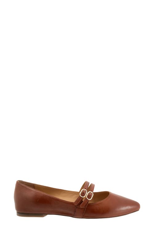 Trotters Emerald Pointed Toe Mary Jane Flat In Luggage