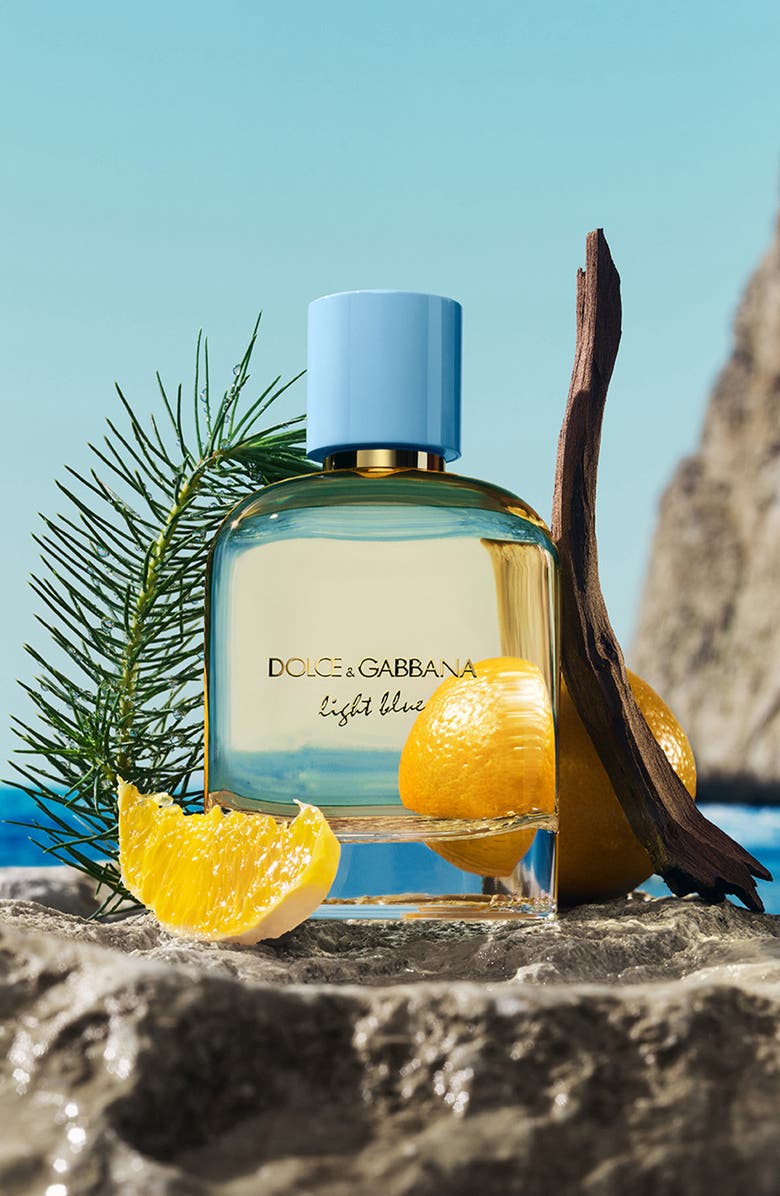 Dolce&Gabbana Light Blue Pour Homme Eau de Parfum, Alternate, color, 