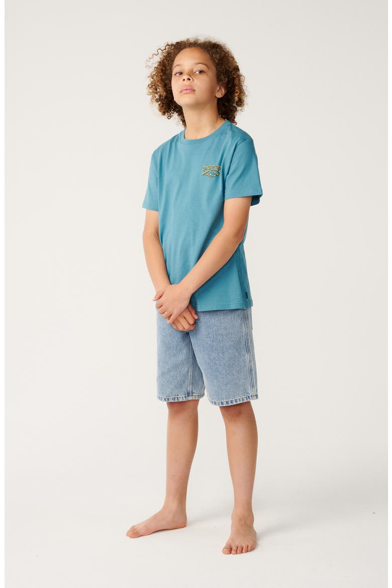 Kids' Rip Curl Air Shred Graphic Tee, Alternate, color, DUSTY JADE